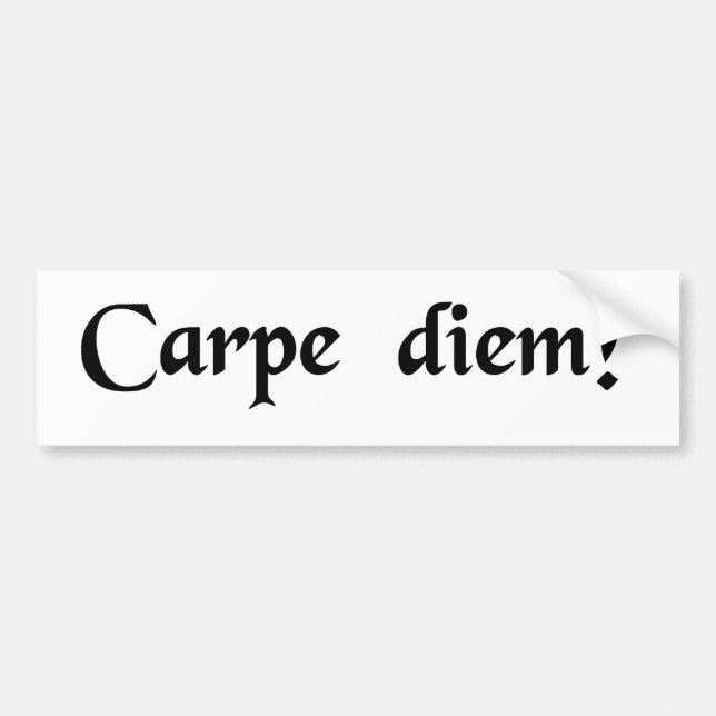 Seize the day. bumper sticker (Front)