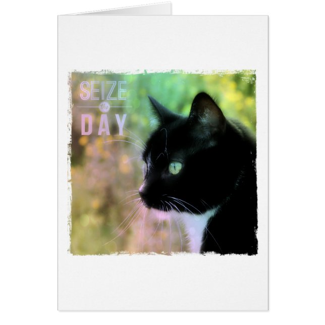 Seize the Day Cat (Front)