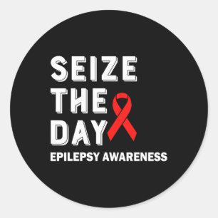 Seize The Day Epilepsy Awareness  Classic Round Sticker