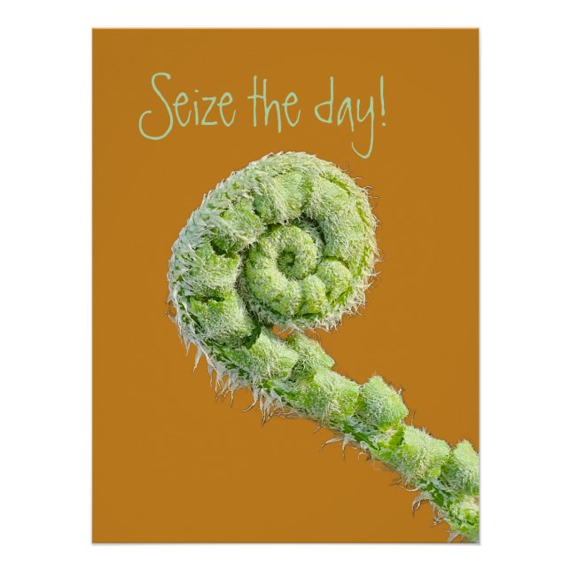 Seize the day poster (Front)