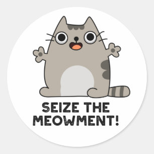 Seize The Meow-ment Positive Cat Pun  Classic Round Sticker