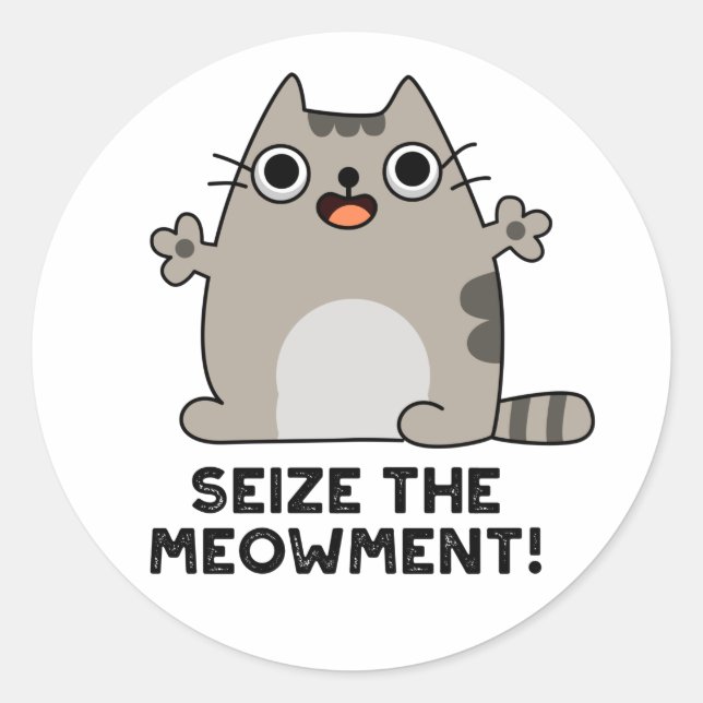 Seize The Meow-ment Positive Cat Pun  Classic Round Sticker (Front)