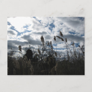 Selby-On-The-Bay Postcard