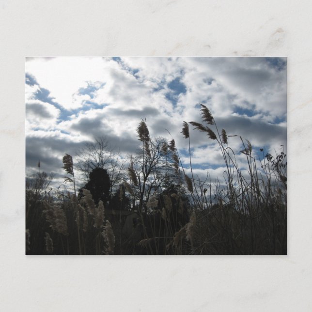 Selby-On-The-Bay Postcard (Front)