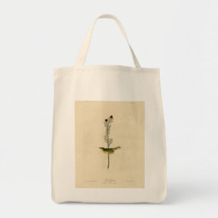 Selby's Fly catcher - Audubon's Birds of America Tote Bag