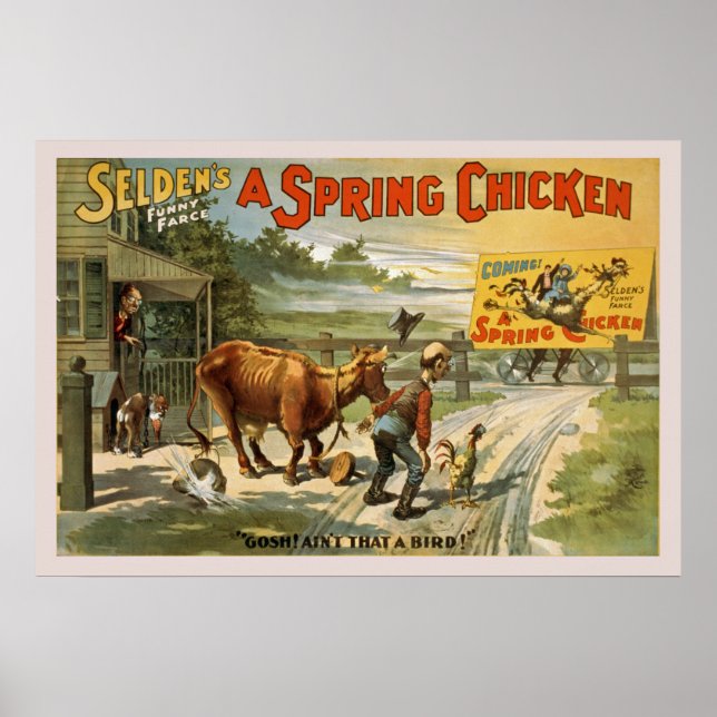 Selden's Funny Farce, A Spring Chicken Poster (Front)
