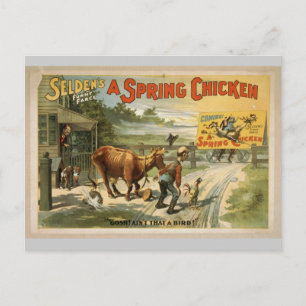Selden's Postcard