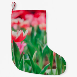 Select focus, Amazing nature of Beautiful view Vi Small Christmas Stocking
