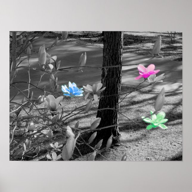 Selected Flowers Poster (Front)