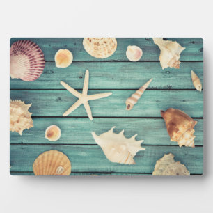 Selection Of Seashells Plaque