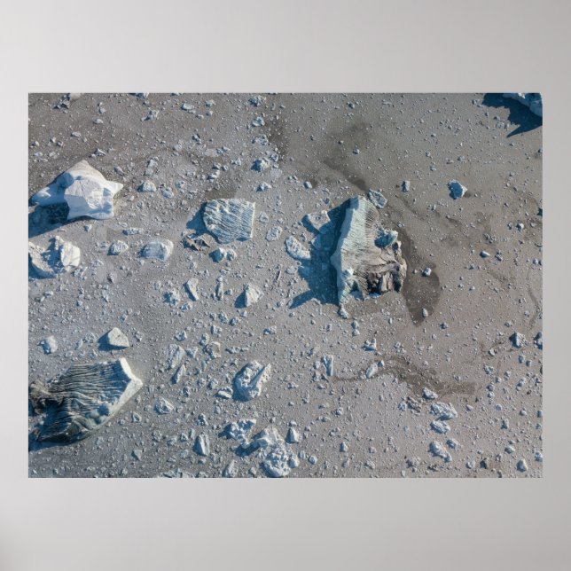 Selective focus of gray stone poster (Front)