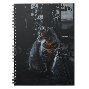 SELECTIVE FOCUS OF SILVER TABBY CAT NOTEBOOK