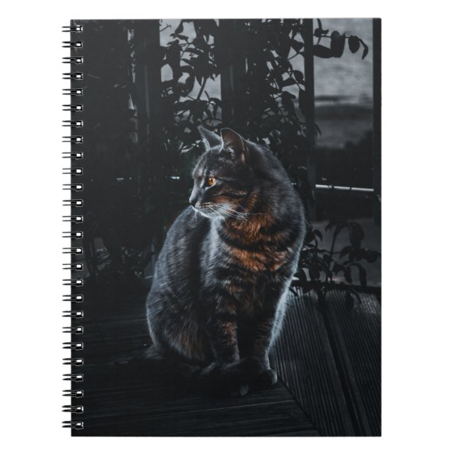 SELECTIVE FOCUS OF SILVER TABBY CAT NOTEBOOK (Front)