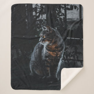 SELECTIVE FOCUS OF SILVER TABBY CAT SHERPA BLANKET