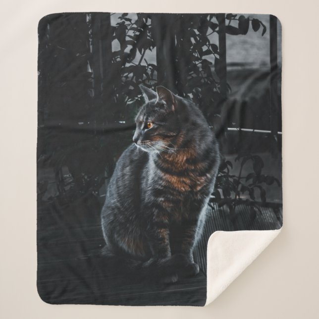 SELECTIVE FOCUS OF SILVER TABBY CAT SHERPA BLANKET (Front)
