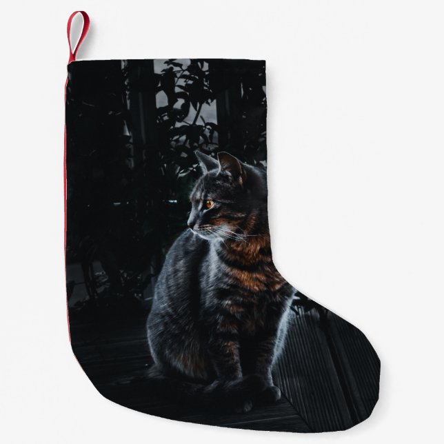 SELECTIVE FOCUS OF SILVER TABBY CAT SMALL CHRISTMAS STOCKING (Front)