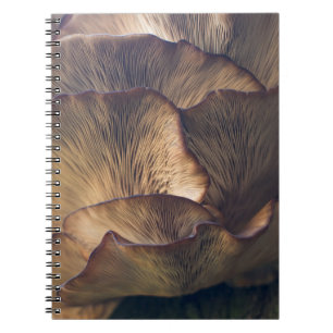 Selective focus photo of mushroom notebook