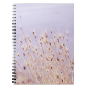 SELECTIVE FOCUS PHOTOGRAPHY OF GRASS FIELD NOTEBOOK