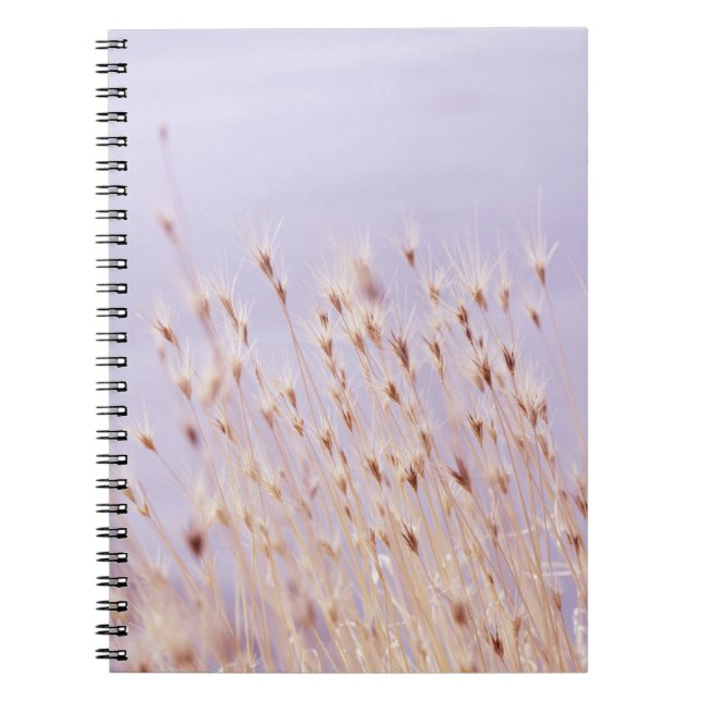 SELECTIVE FOCUS PHOTOGRAPHY OF GRASS FIELD NOTEBOOK (Front)