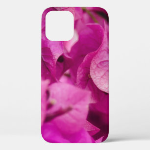 SELECTIVE FOCUS PHOTOGRAPHY OF PINK BOUGAINVILLEA iPhone 12 CASE