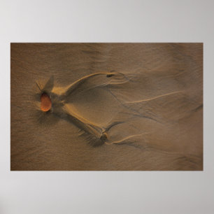 Selective focus photography of sand poster