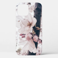 SELECTIVE FOCUS PHOTOGRAPHY OF WHITE AND PINK PETA