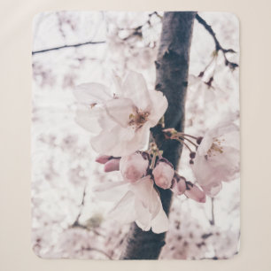 SELECTIVE FOCUS PHOTOGRAPHY OF WHITE AND PINK PETA SHERPA BLANKET
