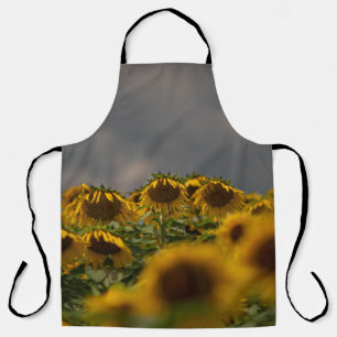 SELECTIVE FOCUS PHOTOGRAPHY OF YELLOW SUNFLOWERS D APRON