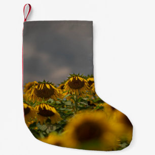 SELECTIVE FOCUS PHOTOGRAPHY OF YELLOW SUNFLOWERS D SMALL CHRISTMAS STOCKING