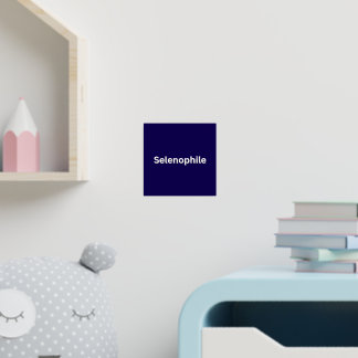 Selenophile Moon Lover Foil Prints