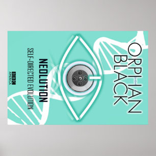 Self-Directed Evolution (Poster) Poster