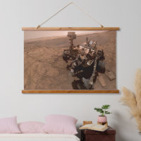 Selfie of Mars Curiosity Red Martian Landscape