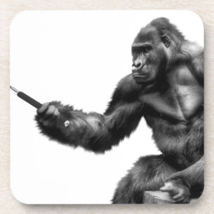 selfie stick coaster