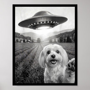 Selfie With Alien Ufo Funny Maltese Dog Mum Dad Poster