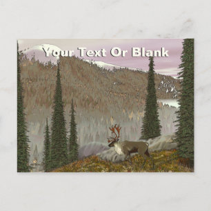 Selkirk Caribou Postcard