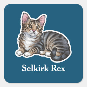 Selkirk Rex Square Sticker