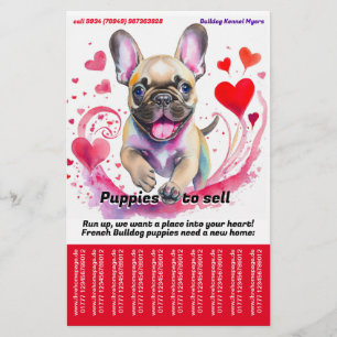Sell Puppy French Bulldog Flyer