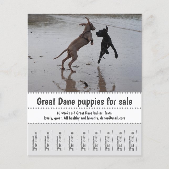 Seller Poster Flyer (Front)