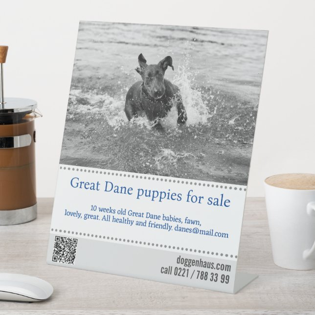 Seller Poster Pedestal Sign (In SItu)