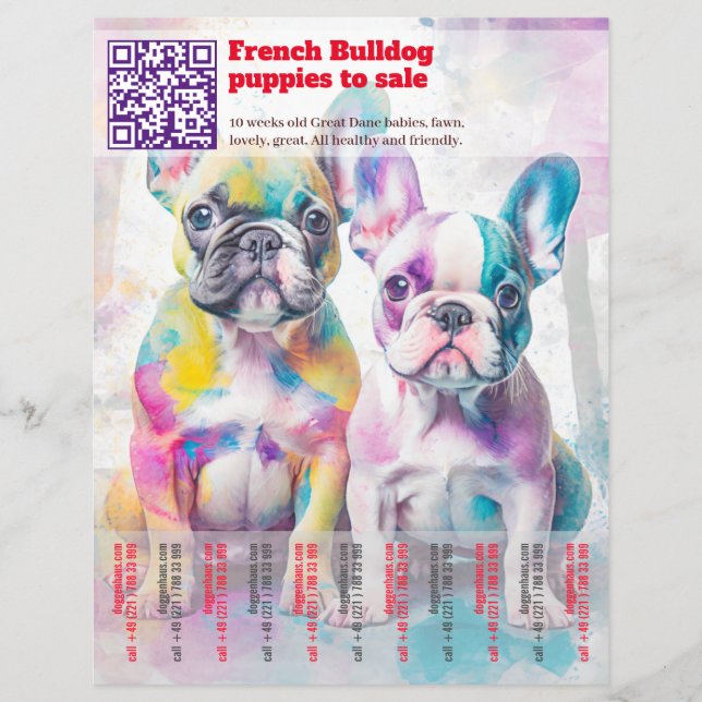 Selling Frenchie Puppies Design Flyer (Front)