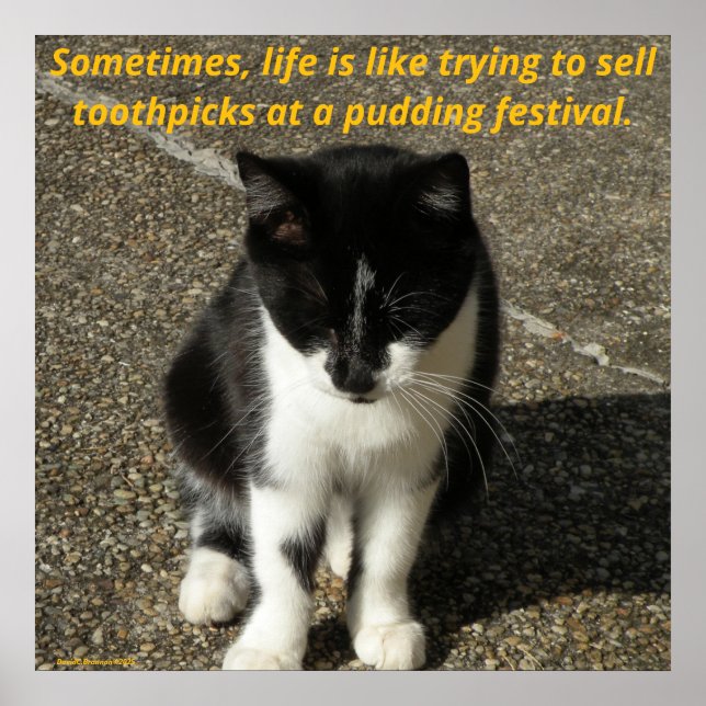 Selling toothpicks at a pudding festival... poster (Front)