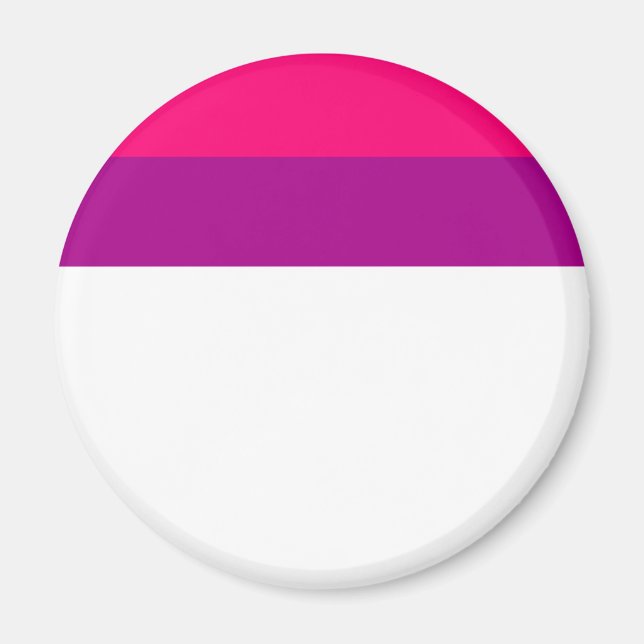 Semi Bisexual Pride Flag  Magnet (Front)