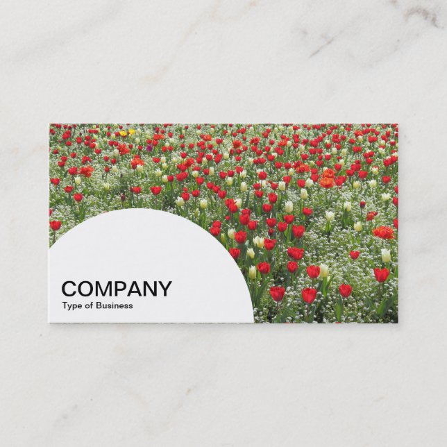 Semi-circle Panel - Bed of Tulips Business Card (Front)