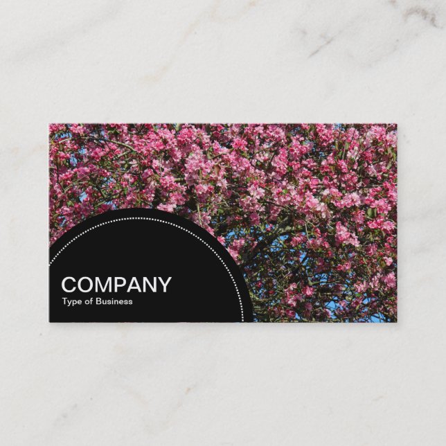 Semi-circle Panel (dots) - Pink Cherry Blossom Business Card (Front)