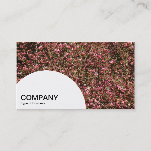 Semi-circle Panel - Pink Cherry Blossom 02 Business Card (Front)