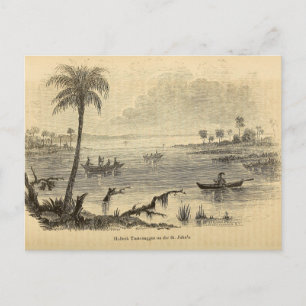 Seminoles on the St. Johns River Postcard