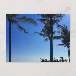 seminyak palm trees postcard