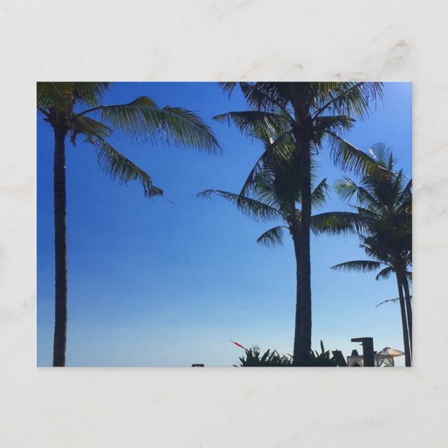 seminyak palm trees postcard (Front)