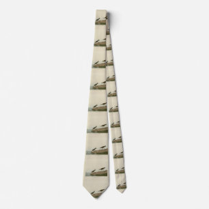 Semipalmated Sandpiper, Audubon's Birds of America Tie