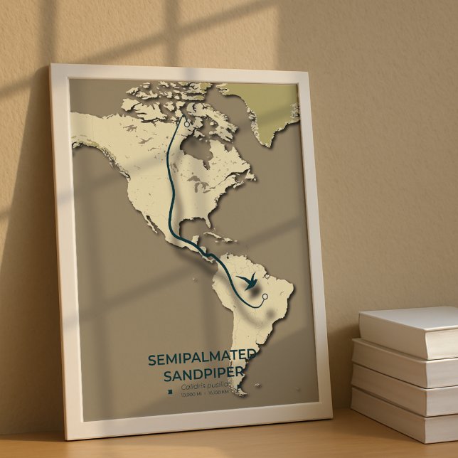 Semipalmated Sandpiper Migration Map – Minimalist  Poster (Creator Uploaded)